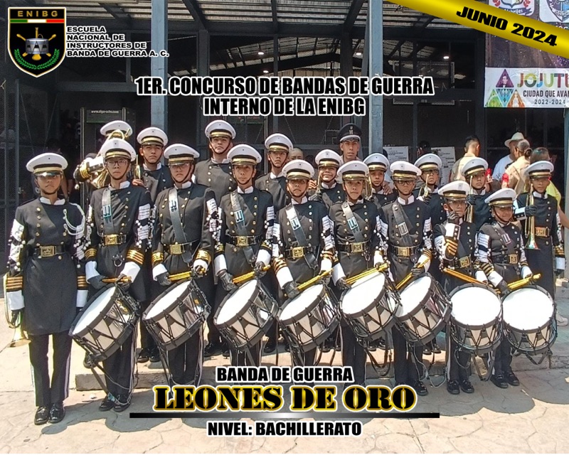 Banner Institucional